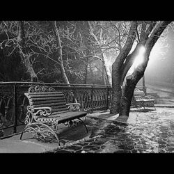 Зима ночь фонарь скамейка снег парк